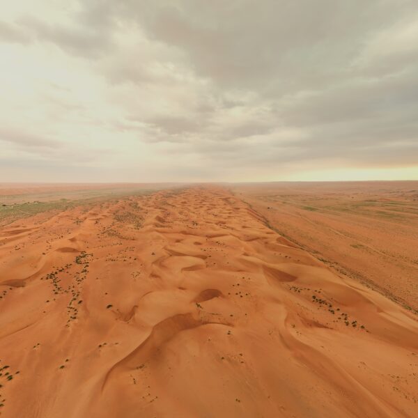 Wahiba Sands Desert