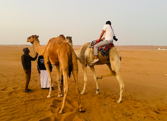 What’s the Best Way to Experience the Beauty of Oman’s Desert?